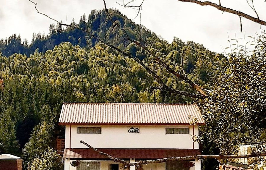 Cabana Căsaru
